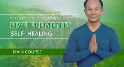 NEW Five Elements Self-Healing Main Course