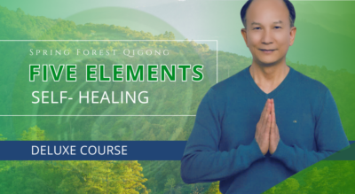 NEW Five Elements Self-Healing Deluxe Course