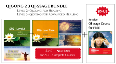 Spring Forest Qigong Level 2 + Level 3 + Qi~ssage Courses Bundle - Digital