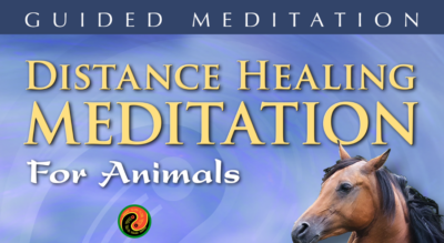 Guided Distance Healing Meditation for Animals