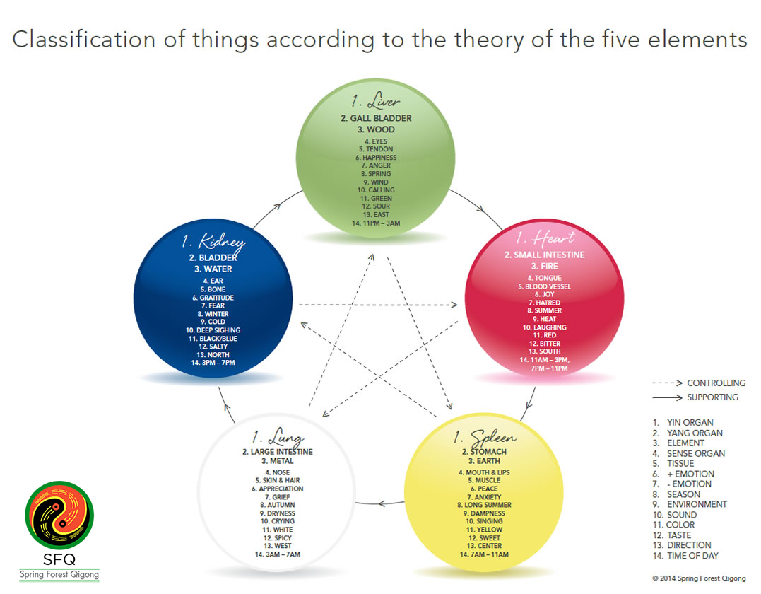 Spring Forest Qigong Five Elements Spring Forest Qigong Five Elements