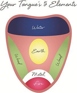 Spring Forest Qigong Tongue Five Element Spring Forest Qigong Tongue Five Element
